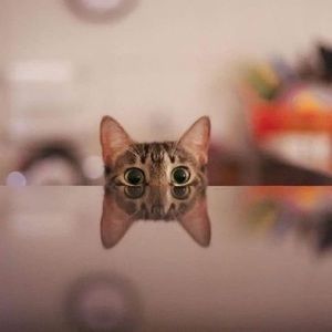 Meet your Posher, Marcy